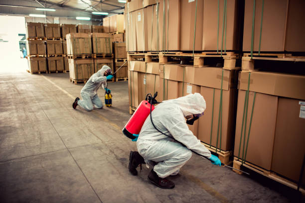 Best Best Pest Control Companies  in Bowmansville, PA