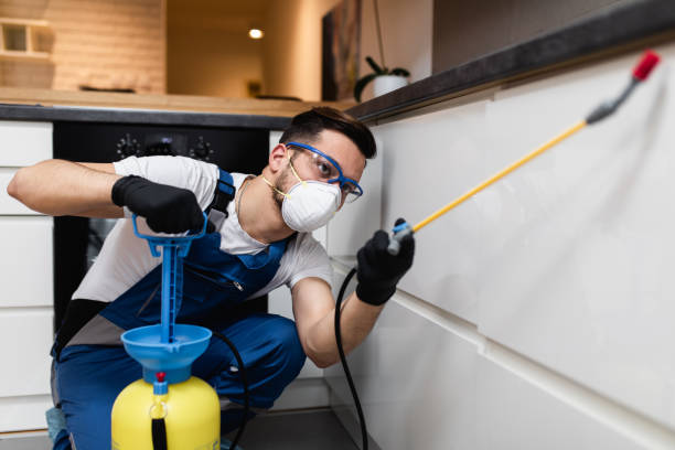 Best Pest Prevention Services  in Bowmansville, PA