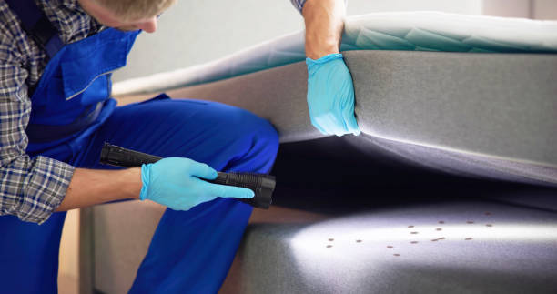 Best Local Pest Control Services  in Bowmansville, PA
