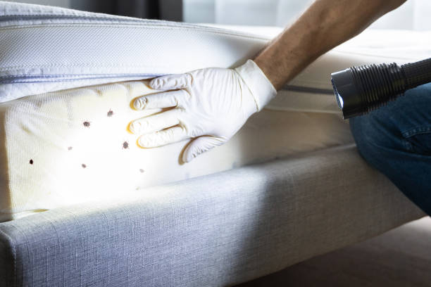 Best Pest Removal Services  in Bowmansville, PA