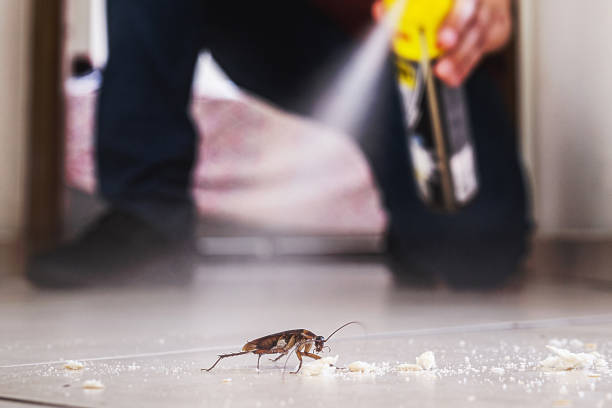 Best Spider Control Near Me  in Bowmansville, PA