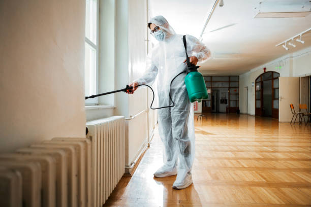 Best Termite Control Services  in Bowmansville, PA